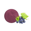 Grape powder Vitis vinifera Active Cosmetic